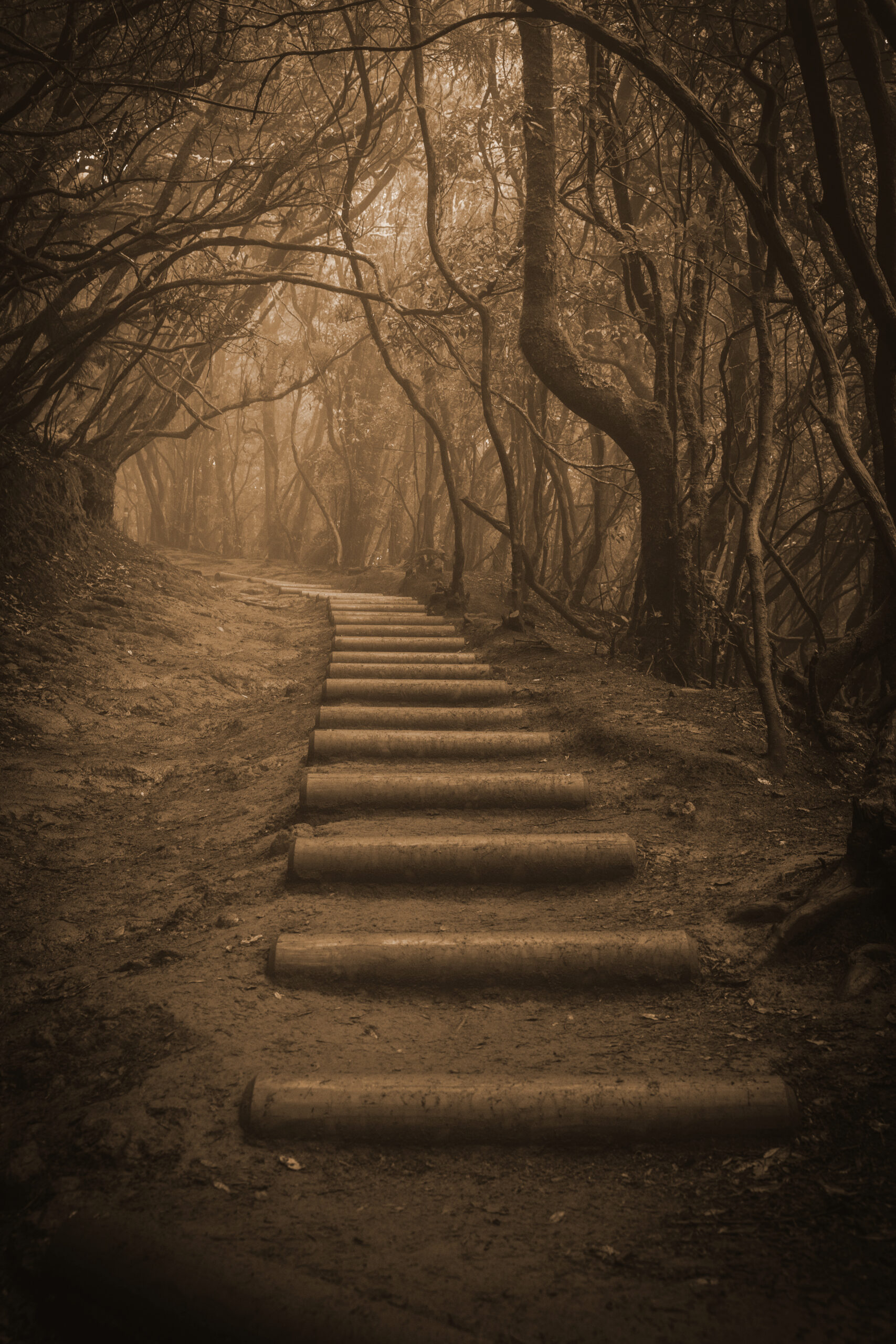 Waldweg